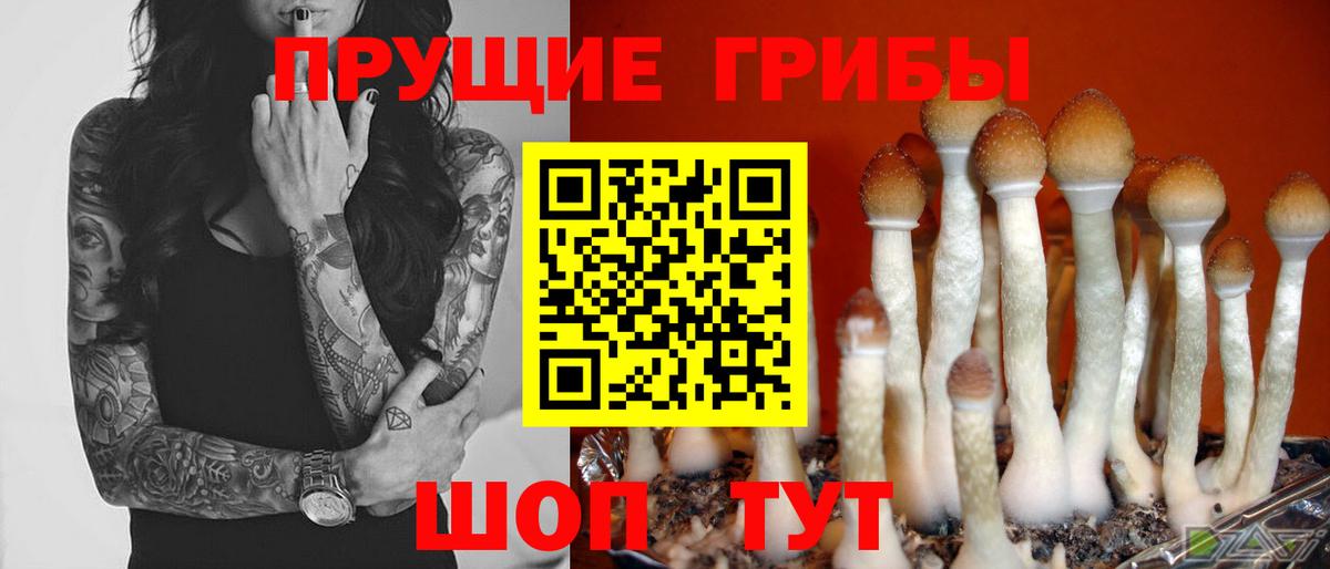 Псилоцибиновые грибы мицелий Новый Уренгой